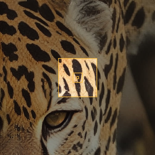 A leopard photo with nested amber boxes marking where each of the four zoom steps lands.